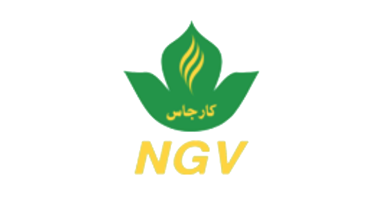 NGV.png